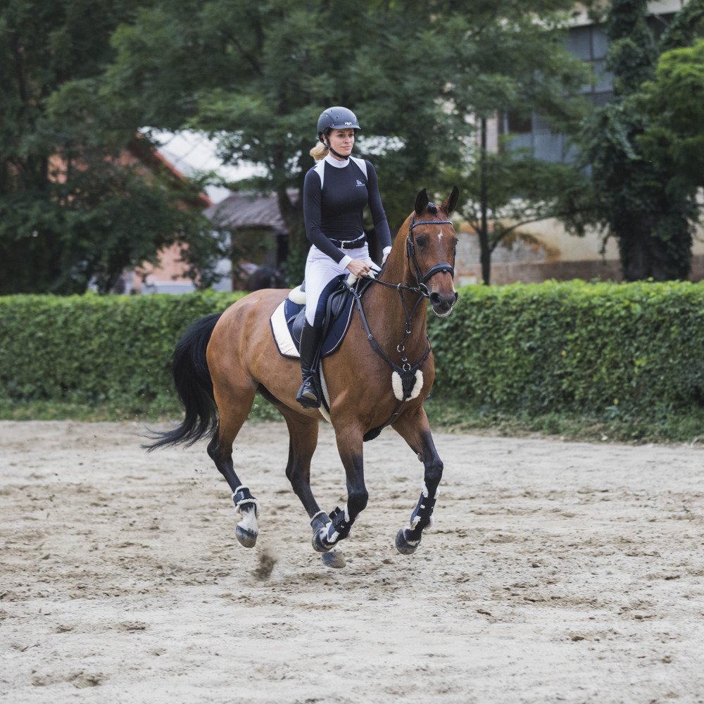 Riding Show Shirt BLACK JACK - Short Sleeve. Technical Equestrian Apparel