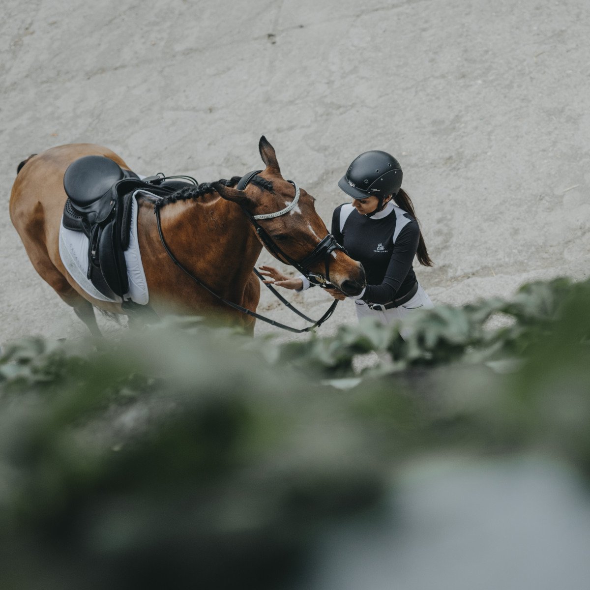 Reiten Turniershirt BLACK JACK - Kurzarm - Cavalliera