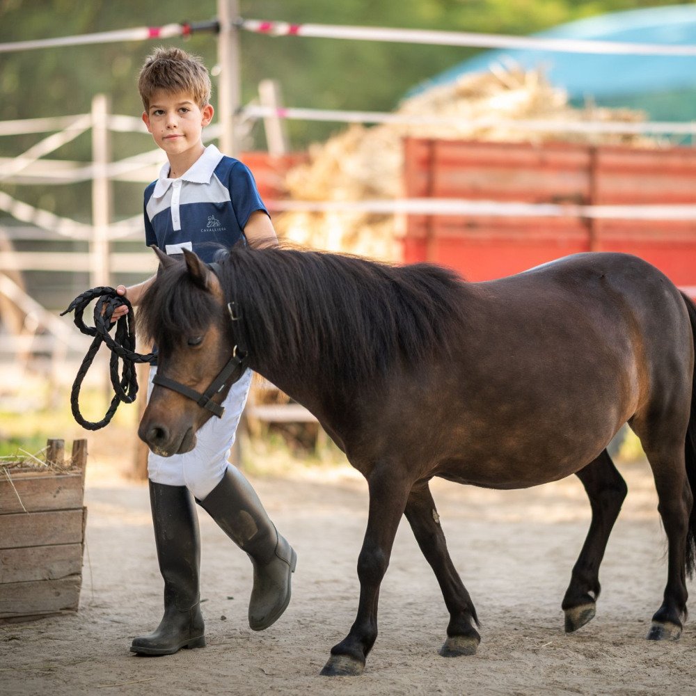 Cavalliera - Boys' Riding Show Shirt MOSAIC - short sleeve