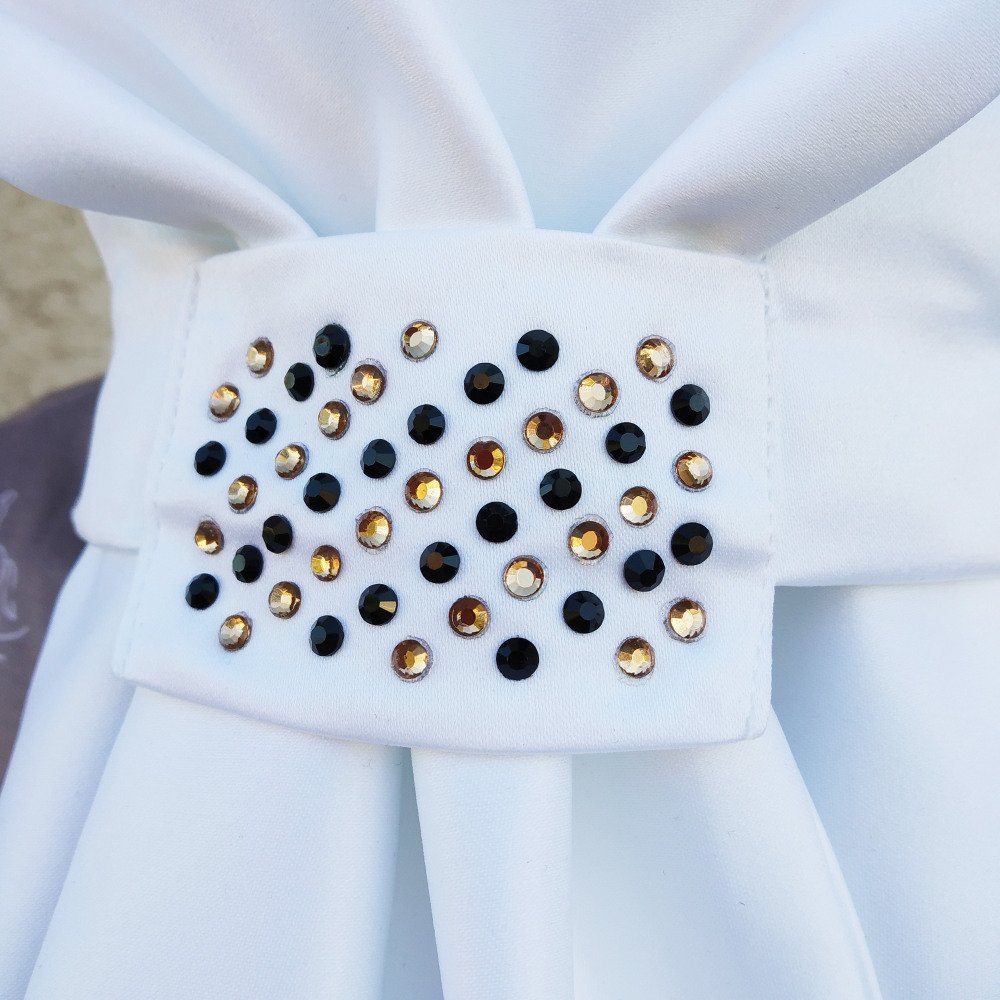 Cavalliera Plastrón CUSTOM CRYSTALLIZED, full