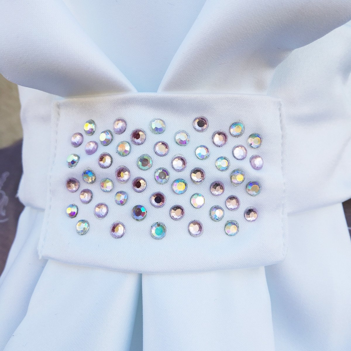 Cavalliera Riding Stock Tie CUSTOM CRYSTALLIZED, full