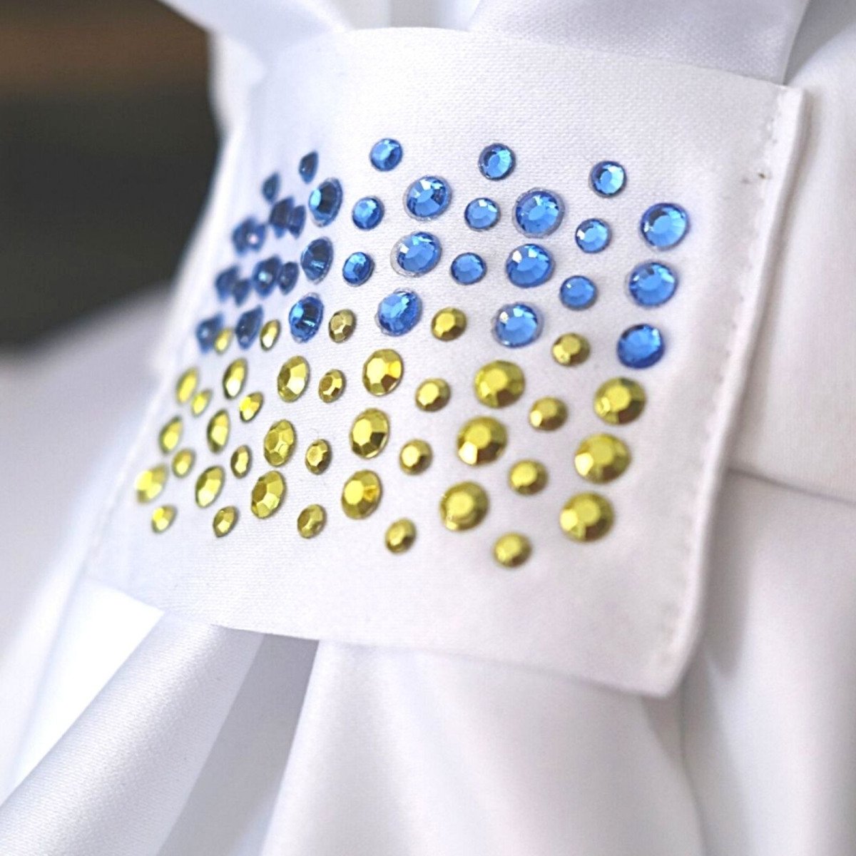 Cavalliera Riding Stock Tie CUSTOM CRYSTALLIZED, full