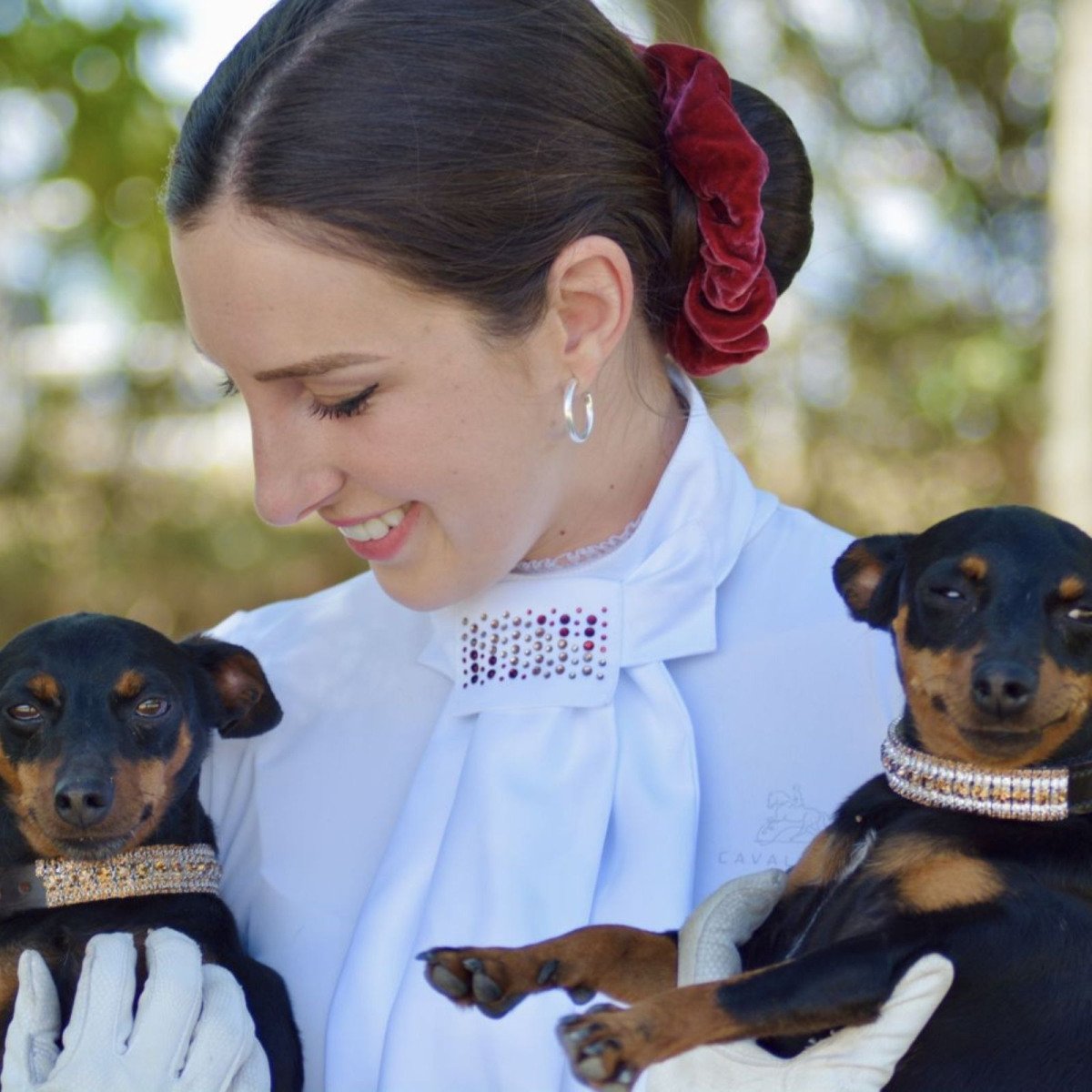 Cavalliera Reit Plastrone CUSTOM CRYSTALLIZED