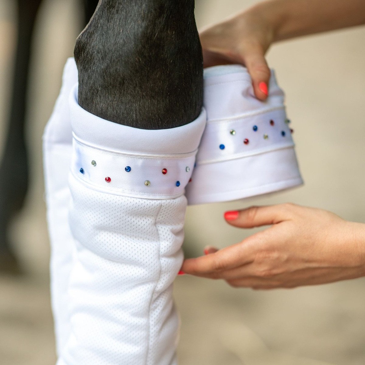 Cavalliera - Horse bandages CUSTOM CRYSTALLIZED