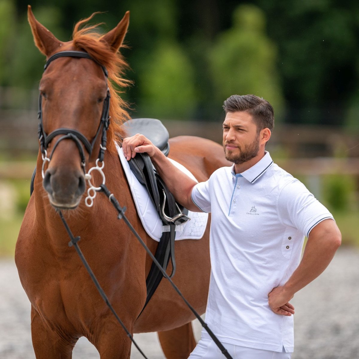 Riding Cotton Based Top Short Sleeve SPORTY - Cavalliera