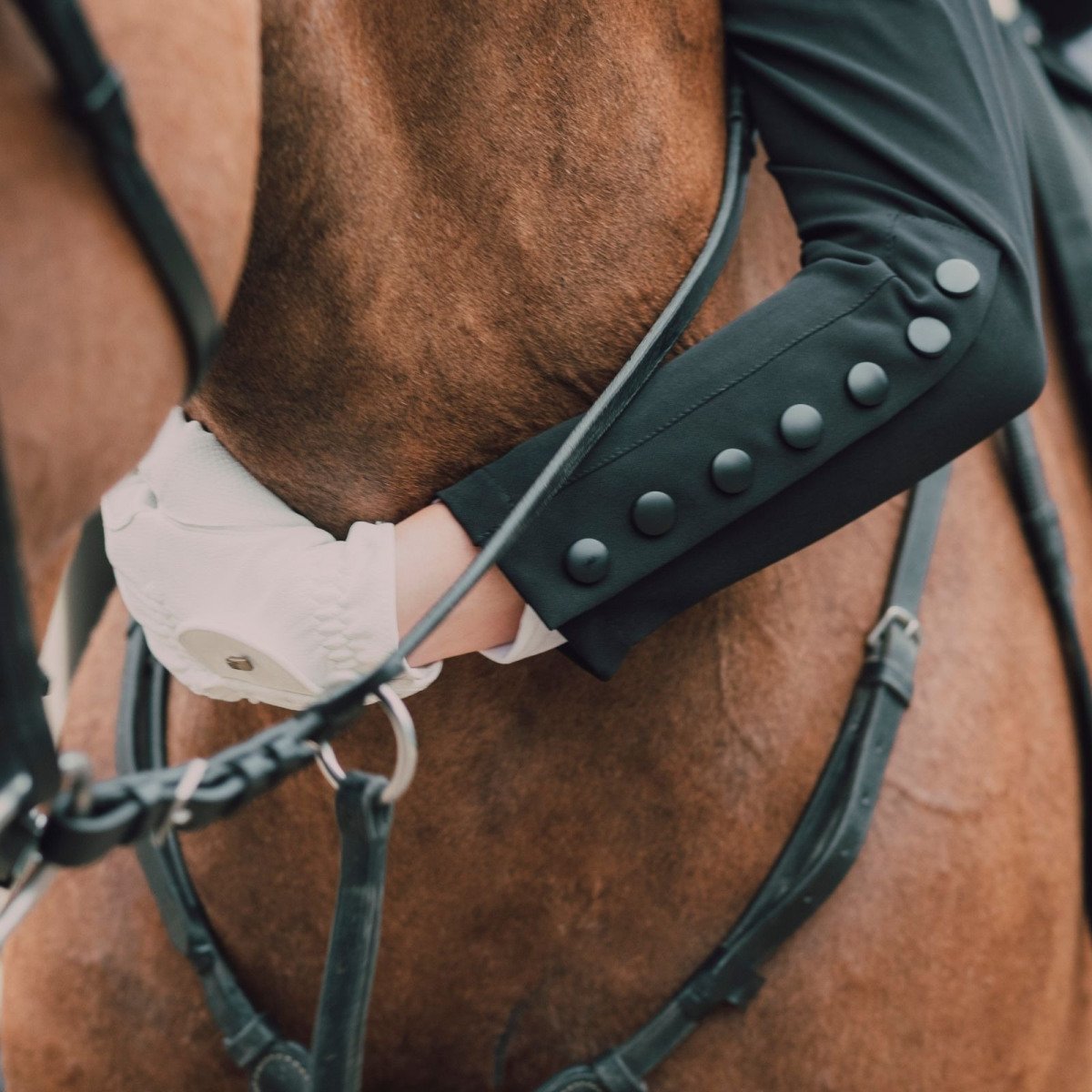 Lovas versenyzakó CLASS - Softshell. Technikai lovas ruházat