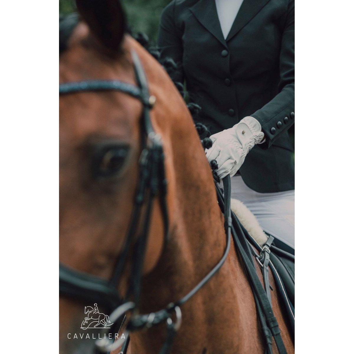 Riding Show Jacket CLASS- Softshell - Cavalliera