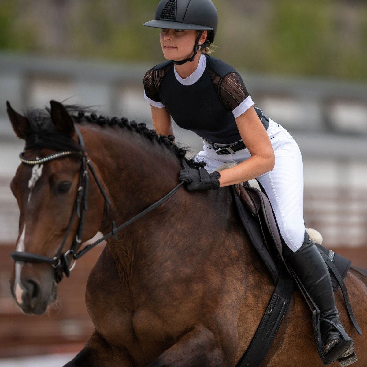 Cavalliera - Riding Show Shirt CONTESSA - short sleeve