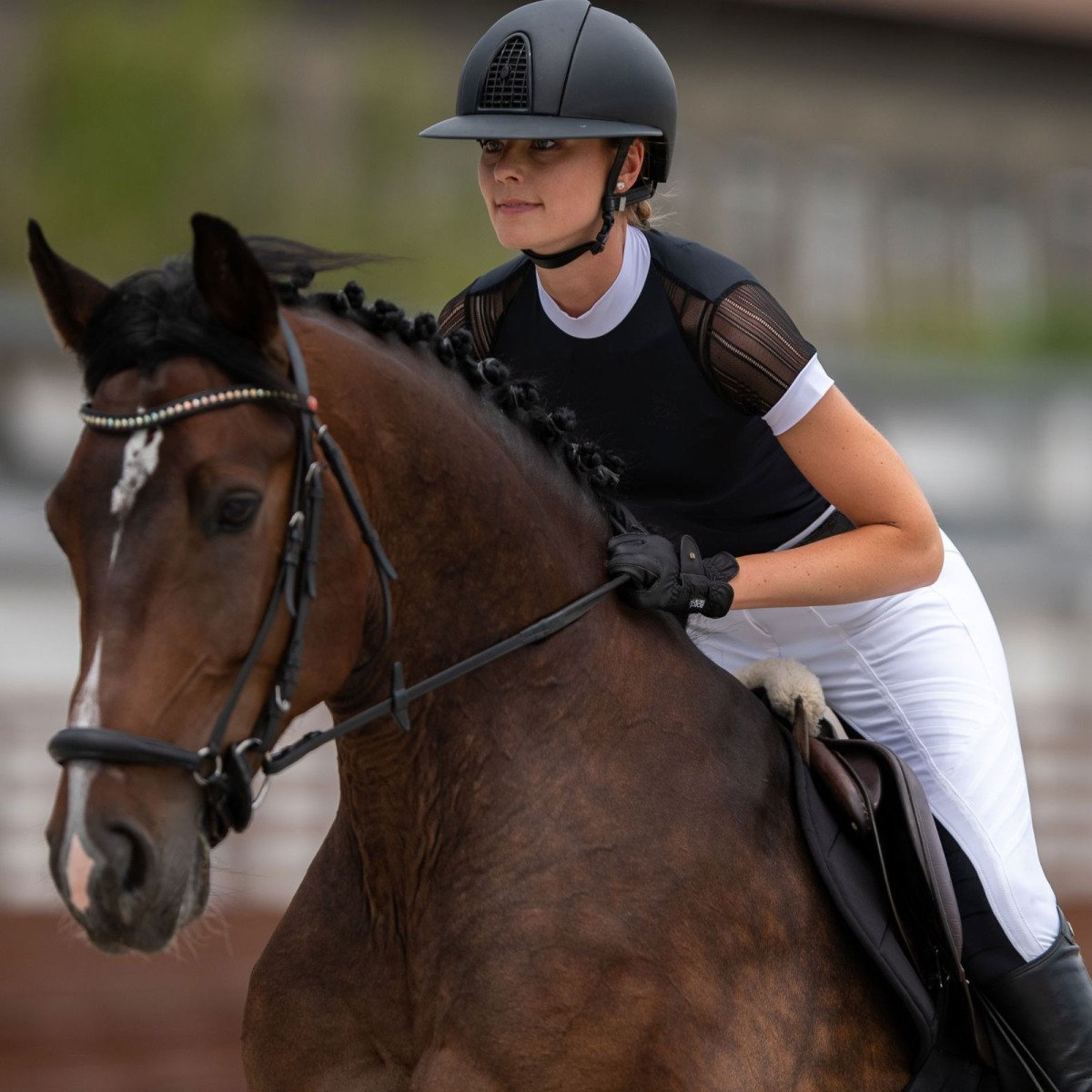 Cavalliera - Camiseta de concurso CONTESSA - Manga corta