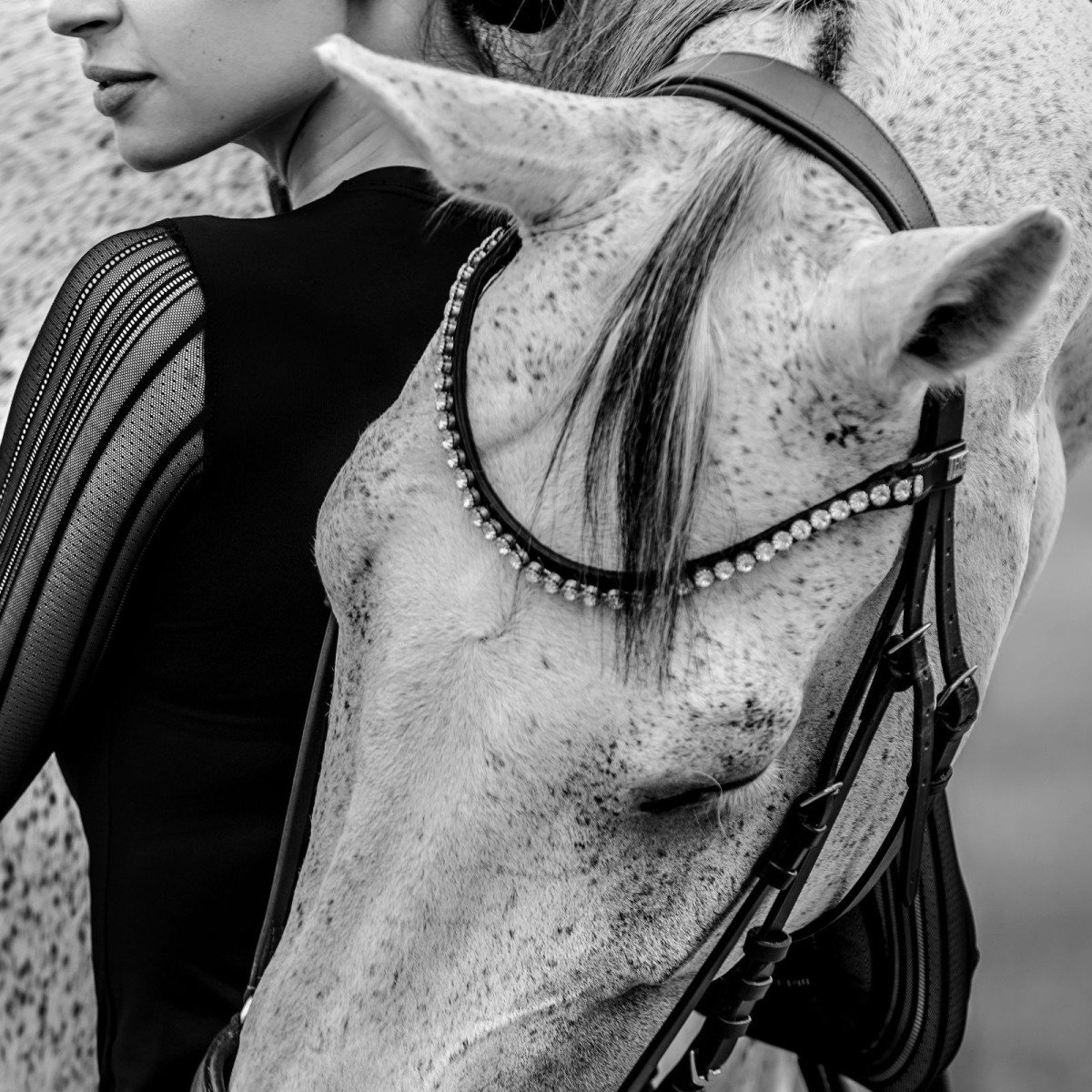 Cavalliera Riding Top CASUAL CONTESSA long for Equestrian Women