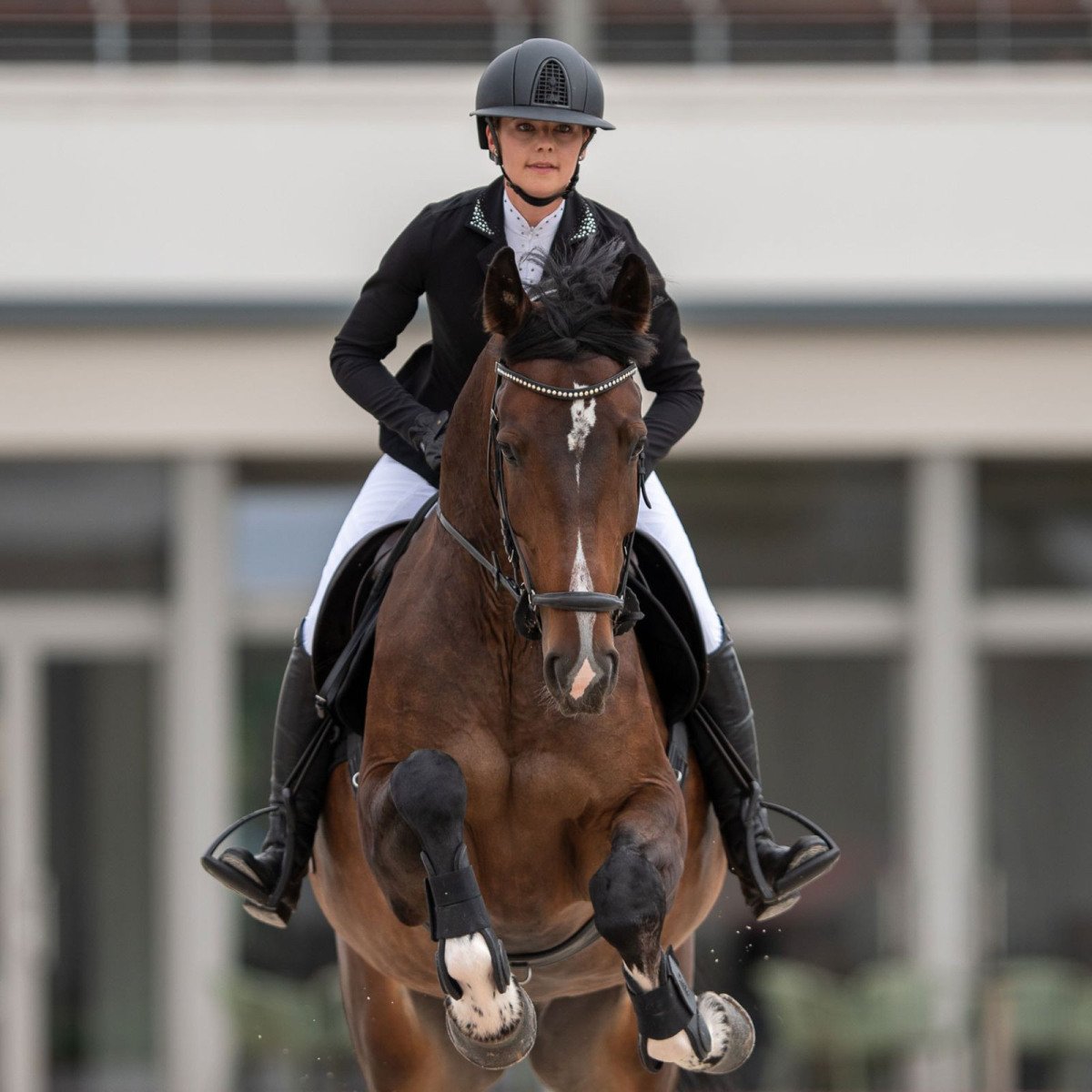 Cavalliera -Veste de concours équestre DIVA PURITY