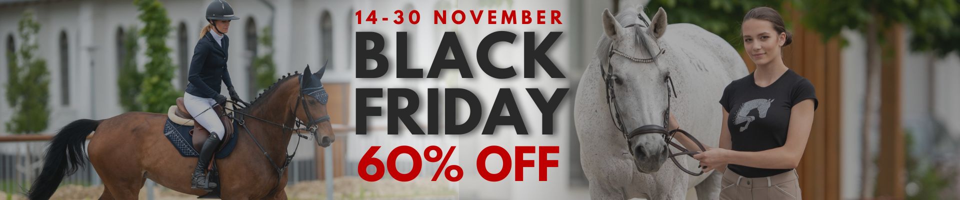 Black Friday desktop banner